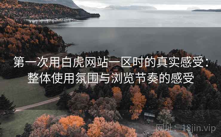 第一次用白虎网站一区时的真实感受:整体使用氛围与浏览节奏的感受 第一次用白虎网站一区时的真实感受:整体使用氛围与浏览节奏的感受