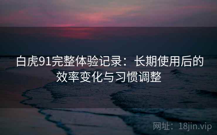 白虎91完整体验记录：长期使用后的效率变化与习惯调整