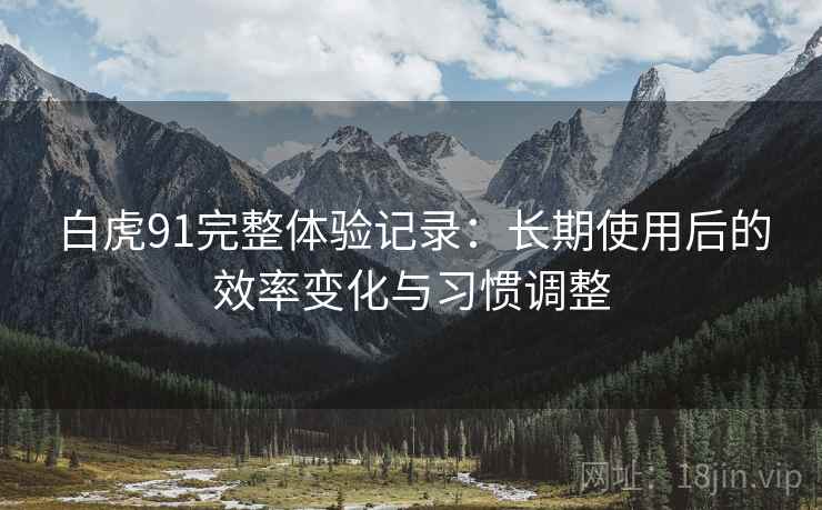 白虎91完整体验记录：长期使用后的效率变化与习惯调整