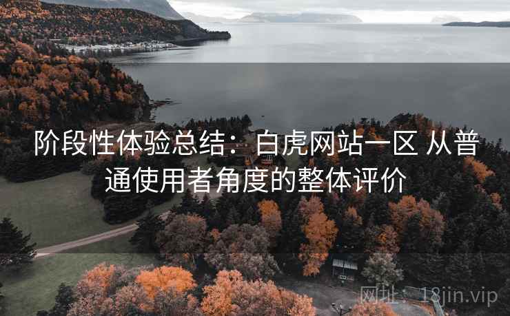 阶段性体验总结：白虎网站一区 从普通使用者角度的整体评价