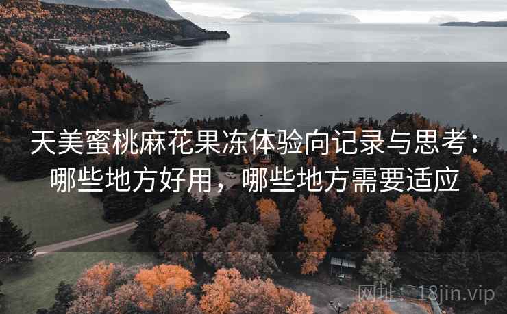 天美蜜桃麻花果冻体验向记录与思考：哪些地方好用，哪些地方需要适应