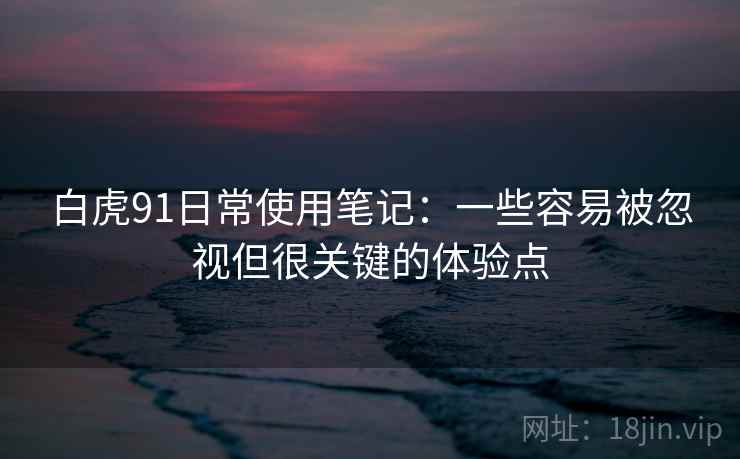 白虎91日常使用笔记：一些容易被忽视但很关键的体验点
