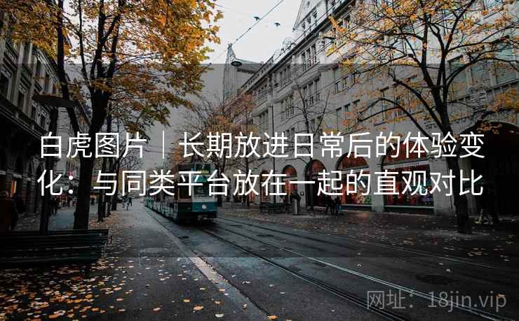 白虎图片｜长期放进日常后的体验变化：与同类平台放在一起的直观对比