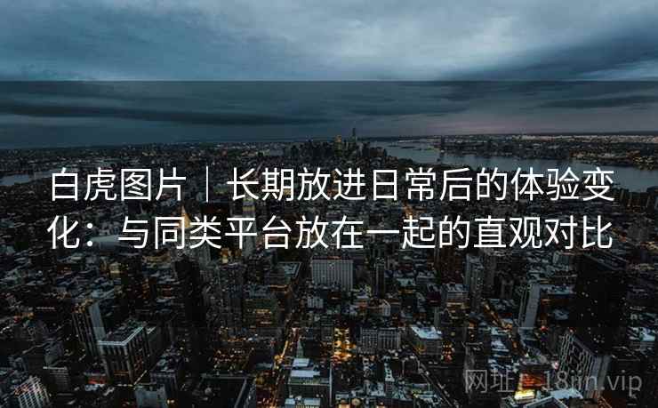 白虎图片｜长期放进日常后的体验变化：与同类平台放在一起的直观对比
