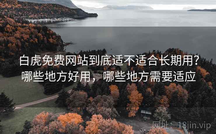 白虎免费网站到底适不适合长期用？哪些地方好用，哪些地方需要适应