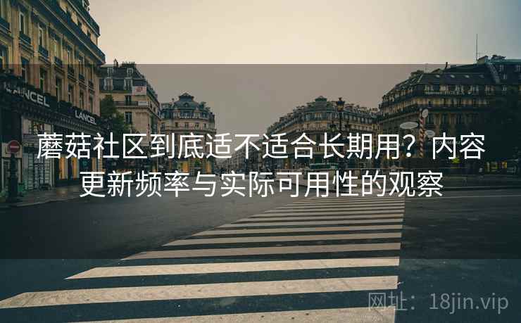 蘑菇社区到底适不适合长期用？内容更新频率与实际可用性的观察