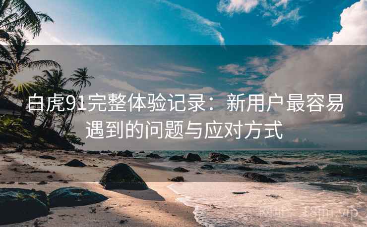 白虎91完整体验记录:新用户最容易遇到的问题与应对方式 白虎91完整体验记录:新用户最容易遇到的问题与应对方式