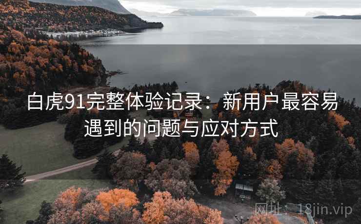 白虎91完整体验记录:新用户最容易遇到的问题与应对方式 白虎91完整体验记录:新用户最容易遇到的问题与应对方式
